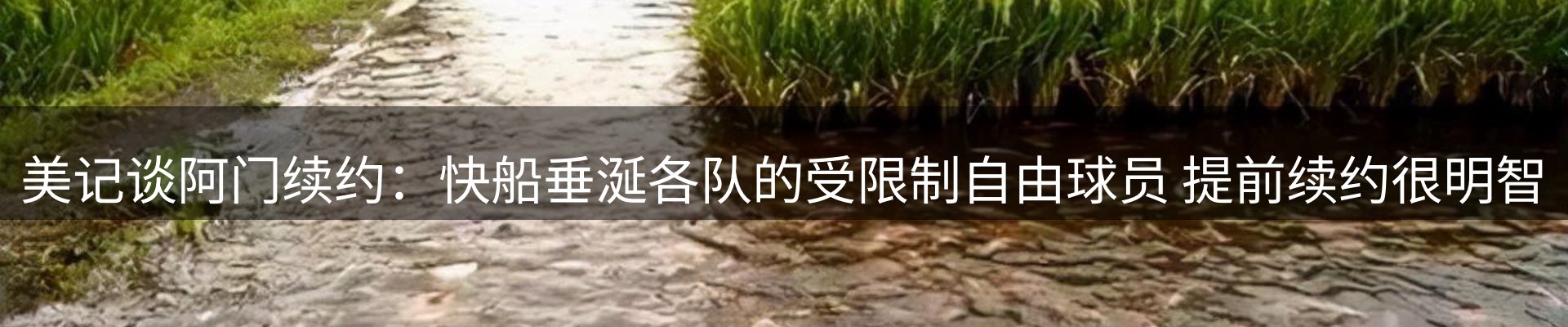 焦点展望